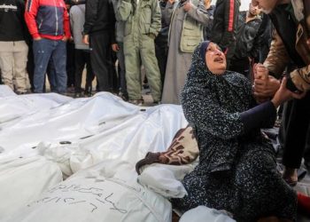 Pakar Hukum: ICJ Kemungkinan akan Putuskan Israel Lakukan Genosida di Gaza