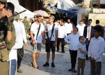 Hilltop Youth, Kelompok Ekstremis Israel yang Kerap Melakukan Kekerasan hingga Pembunuhan terhadap Warga Palestina