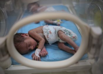 UNICEF: 105.000 Anak di Gaza Utara Tidak Mendapatkan Vaksinasi Polio