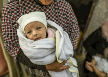 Update Hari ke-398: 4.000 Bayi Gaza Tidak Lagi Mendapatkan Perawatan