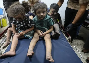 Hampir 70% Korban Terbunuh pada Genosida Gaza adalah Perempuan dan Anak-anak