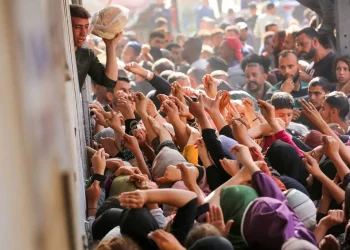 Sudah Sebulan! 100.000 Warga Palestina di Gaza Utara Menghadapi Kekurangan Pangan akibat Serangan Bom Israel yang Terus-menerus