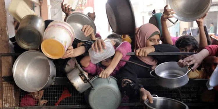 Pakar Keamanan Pangan: Kemungkinan besar Kelaparan akan Segera terjadi di Gaza Utara