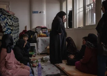 PBB: 14.000 Ibu Hamil Terkena Dampak Agresi Israel di Lebanon