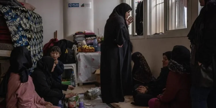 PBB: 14.000 Ibu Hamil Terkena Dampak Agresi Israel di Lebanon