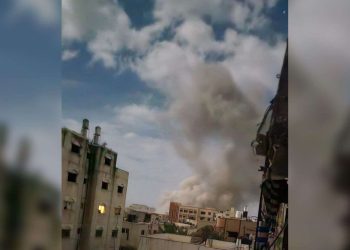 Euro-Med Laporkan Pembantaian Tepung Terbaru yang Menyasar Puluhan Warga di Gaza Utara