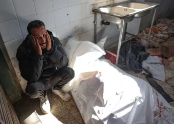 Israel Mengebom Perumahan di Beit Lahiya Gaza Utara yang Membunuh 50 Orang