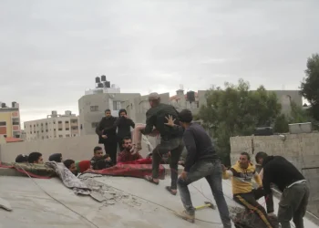 Update Hari ke-419: Pengeboman Israel Benar-benar Mengerikan