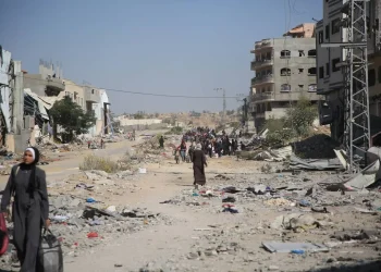 Anjing-Anjing Memakan Mayat Orang Palestina yang Meninggal di Jalanan