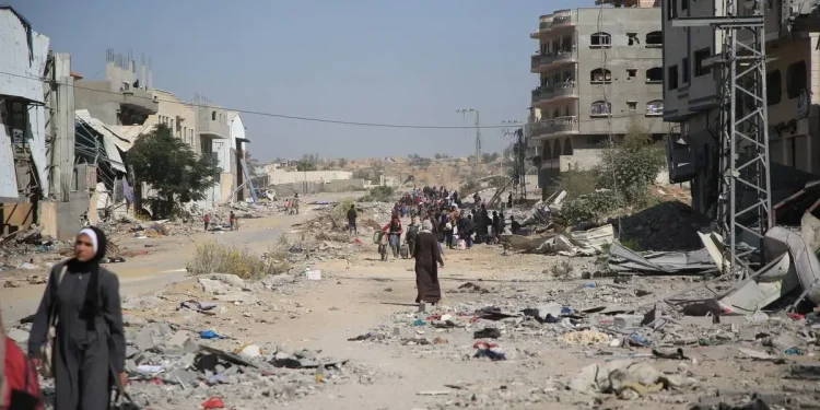 Anjing-Anjing Memakan Mayat Orang Palestina yang Meninggal di Jalanan