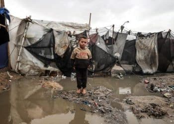 Hari Hak Asasi Manusia Internasional 2024 dan Pelanggaran HAM di Gaza yang “Dinormalisasi” oleh Dunia