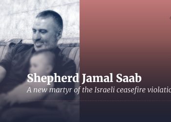 Serangan Udara Israel Membunuh Seorang Penggembala di Lebanon Selatan