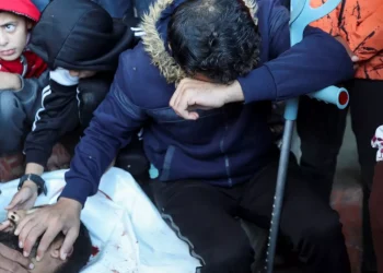 Update Hari ke-424: Lebih dari 3.700 Orang Terbunuh di Gaza Utara dalam 60 Hari