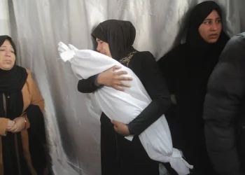 UNRWA: 70% Korban Terbunuh  di Gaza adalah Perempuan dan Anak-anak