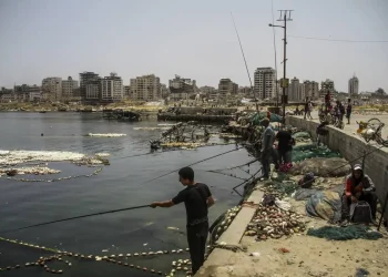 200 Nelayan Gaza Terbunuh, Sektor Perikanan Alami Kerugian 20 Juta Dolar AS