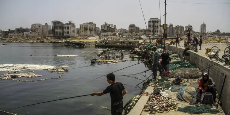 200 Nelayan Gaza Terbunuh, Sektor Perikanan Alami Kerugian 20 Juta Dolar AS