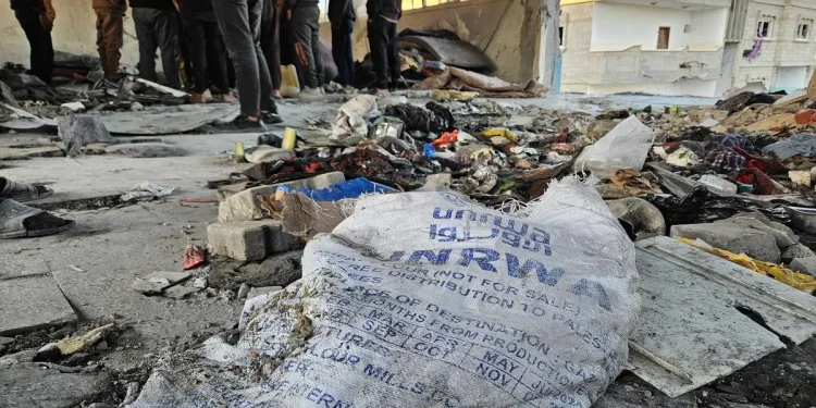 Kekejaman Tak Terbayangkan! Israel Tinggalkan Jasad Warga Palestina untuk Anjing Liar