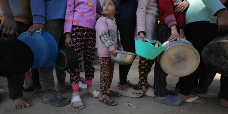 Tentara Pendudukan Israel Membakar Truk Pengangkut Barang ke Gaza