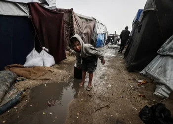 Tikus Memperparah Resiko Kematian Warga Palestina di Gaza