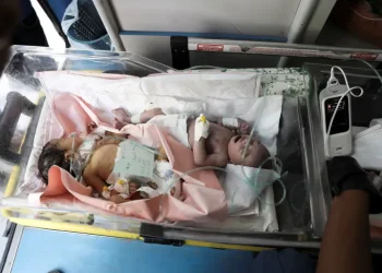 Lima Bayi dalam Satu Inkubator, Gaza Darurat Fasilitas Kesehatan
