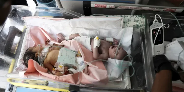 Lima Bayi dalam Satu Inkubator, Gaza Darurat Fasilitas Kesehatan