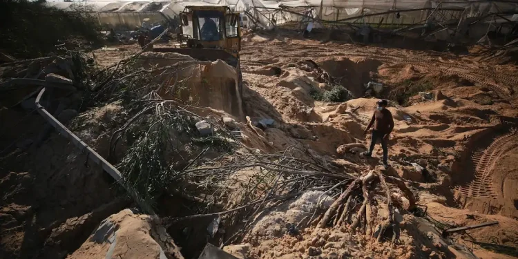 75% Lahan Pertanian di Gaza Rusak, Kerugian Ternak Mencapai 96%