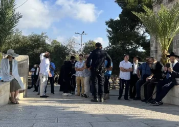 Pemukim Yahudi Serbu Masjid Al-Aqsa untuk Ritual Talmud