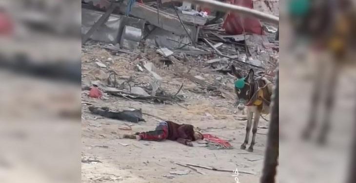 Meski Gencatan Senjata Berlaku, Anak Palestina Dibunuh Penembak Jitu Israel