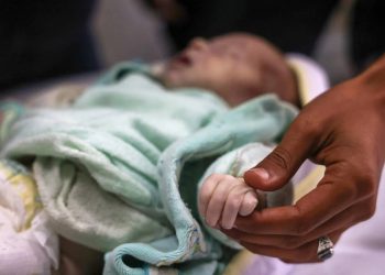 Tiga Bayi Baru Lahir Meninggal karena Kedinginan di Gaza, Jumlah Syuhada Terus Bertambah di Bawah Reruntuhan
