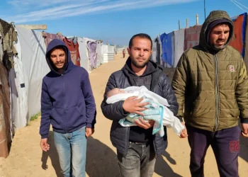 Tujuh Bayi di Gaza Meninggal Akibat Hipotermia