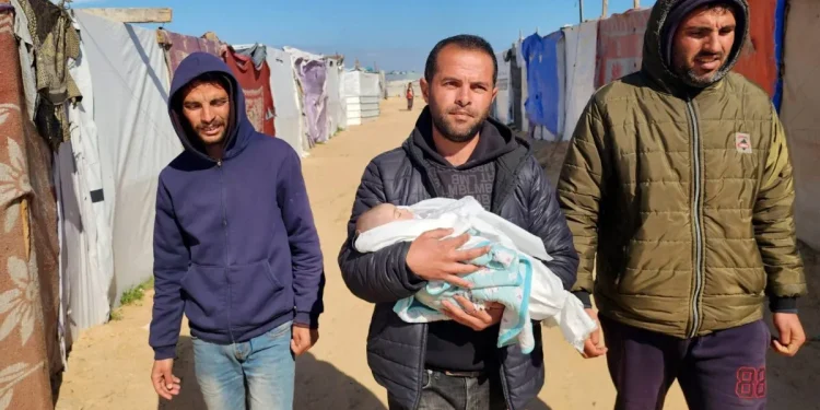 Tujuh Bayi di Gaza Meninggal Akibat Hipotermia