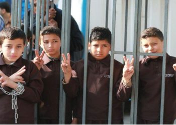 Tragis! Tawanan Anak Palestina di Bawah Umur Disiksa di Penjara Megiddo