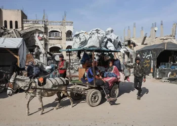 142.000 Warga Gaza Mengungsi dalam Sepekan di Tengah Agresi Israel