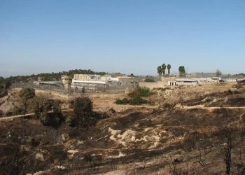 Israel Tidak Berikan Makanan Sahur dan Memalsukan Jam Buka Puasa Bagi Perempuan Tawanan Palestina