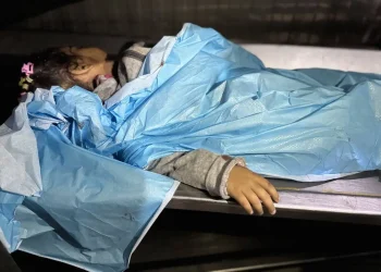 15.613 Anak Gaza Dibunuh Israel Sejak 7 Oktober 2023