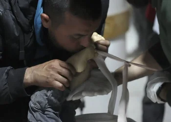 Dokter Lintas Batas Menyerukan Agar Gencatan Senjata di Gaza Segera Dipulihkan