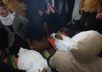 Israel Habisi Nyawa 6 Warga Palestina Setiap 2 Hari di Gaza Saat Gencatan Senjata