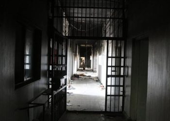 2.000 Perempuan Palestina Menderita Cacat Permanen Akibat Genosida Israel