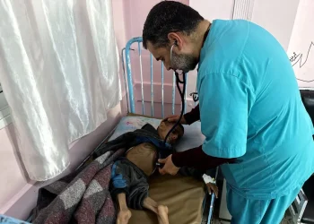 Kantor Media Gaza : “Sedikitnya 65.000 anak dirawat di rumah sakit karena kekurangan gizi parah”