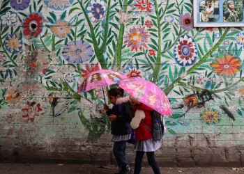 Setelah Diculik, Pemukim Israel Mengikat Dua Anak Palestina di Pohon di Tepi Barat
