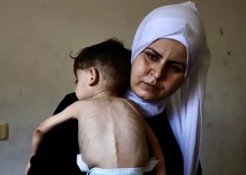 ‘Saya tidak punya rencana B’: Keluarga-keluarga di Gaza Dibiarkan Kelaparan Akibat Penghentian Bantuan Israel