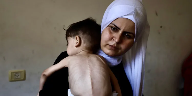 ‘Saya tidak punya rencana B’: Keluarga-keluarga di Gaza Dibiarkan Kelaparan Akibat Penghentian Bantuan Israel