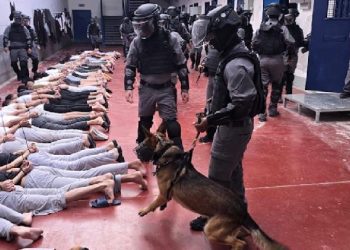 Penderitaan Tawanan Palestina di Penjara Israel: Dari Makanan Busuk hingga Penyiksaan yang Berujung Kematian