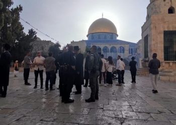 Lebih dari 250 Pemukim Yahudi Menodai Masjid Al-Aqsa