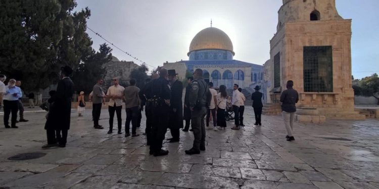 Lebih dari 250 Pemukim Yahudi Menodai Masjid Al-Aqsa