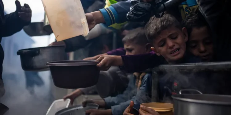 WHO: Blokade Total Israel ke Gaza Menyebabkan Warga Kelaparan dan Malnutrisi