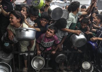 Gaza di Ambang Kehancuran Total: Kelaparan, Penyakit, dan Pemblokiran Bantuan oleh Israel