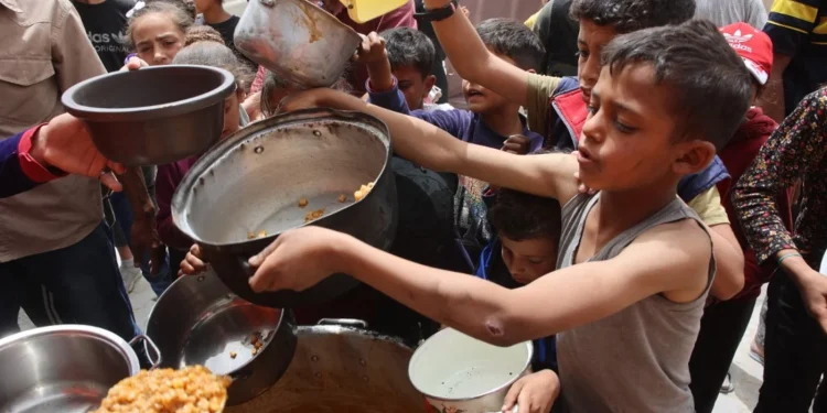 Kebakaran Hutan di Al-Quds (Yerusalem) Sebagian Besar Disebabkan oleh Pohon-Pohon Nonpribumi yang Dibawa oleh Jewish National Fund