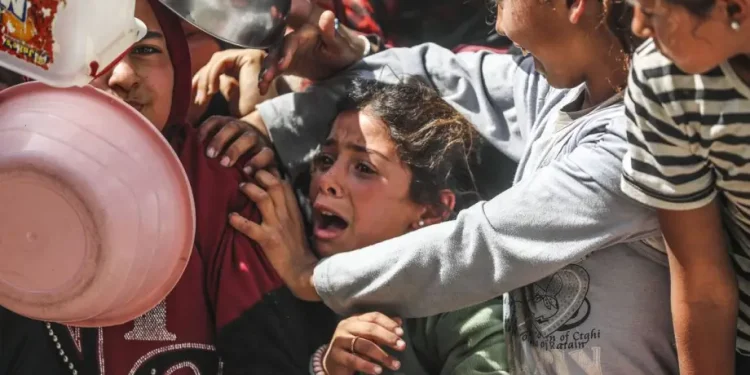 WHO: Kelaparan di Gaza Ancam Generasi, 55 Anak Terbunuh karena Malnutrisi Akut