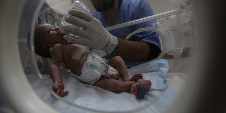 Seorang perawat sedang memberikan susu terapi kepada Bayi di Gaza